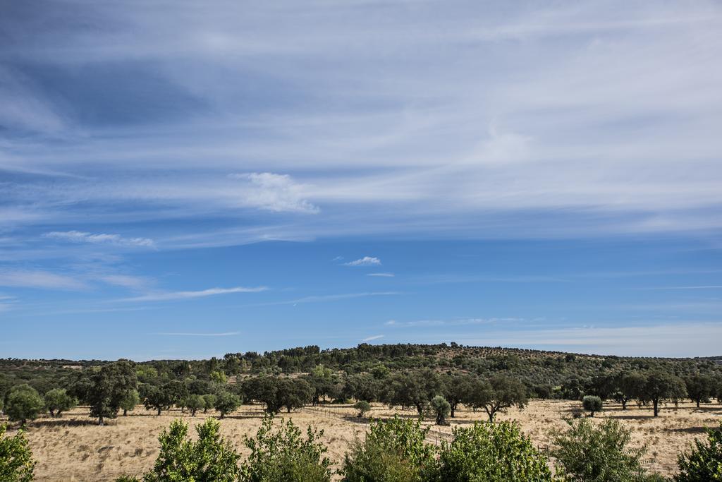 Herdade Dos Alfanges "The Barn" Viana do Alentejo Exteriér fotografie